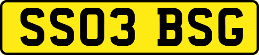 SS03BSG
