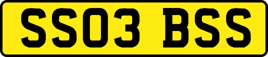 SS03BSS