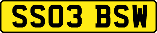SS03BSW