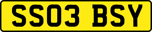 SS03BSY