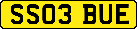 SS03BUE