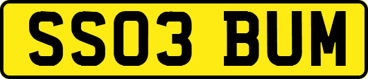 SS03BUM