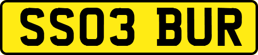 SS03BUR