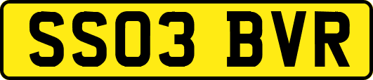 SS03BVR