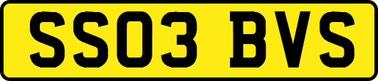 SS03BVS