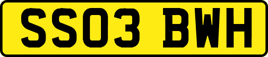 SS03BWH