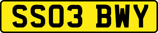 SS03BWY