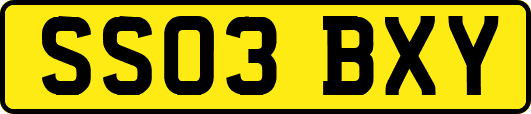 SS03BXY