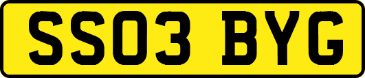 SS03BYG