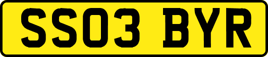 SS03BYR