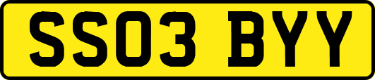 SS03BYY