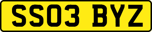 SS03BYZ