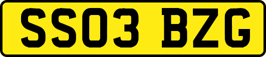 SS03BZG