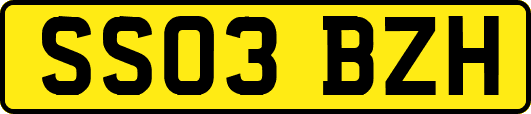 SS03BZH