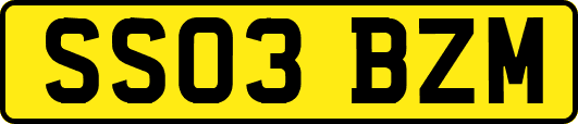 SS03BZM