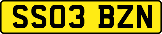 SS03BZN