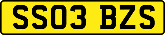 SS03BZS