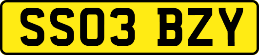 SS03BZY