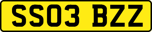 SS03BZZ