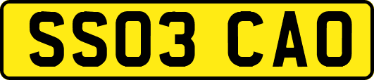 SS03CAO