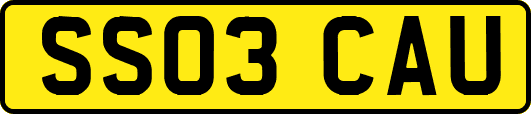 SS03CAU