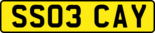 SS03CAY
