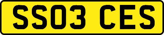 SS03CES