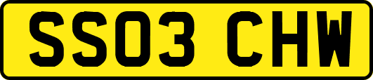 SS03CHW