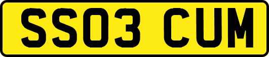 SS03CUM