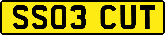 SS03CUT