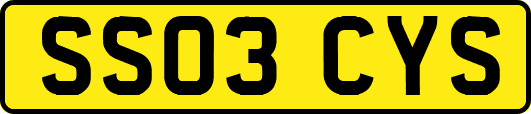 SS03CYS