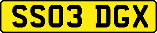 SS03DGX