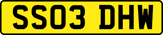 SS03DHW