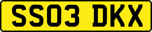 SS03DKX