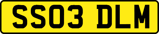 SS03DLM