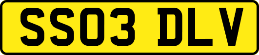 SS03DLV