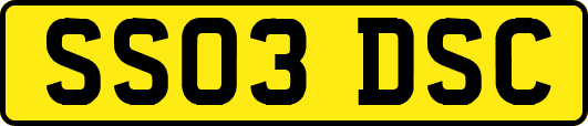 SS03DSC