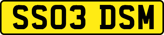 SS03DSM