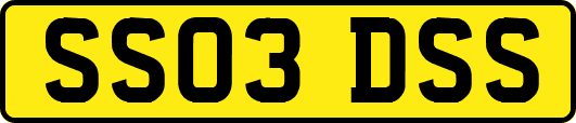 SS03DSS