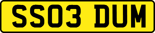 SS03DUM