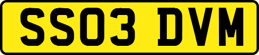 SS03DVM