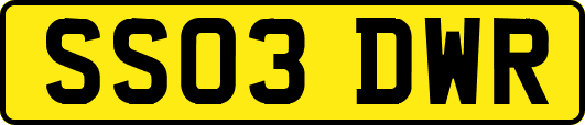 SS03DWR
