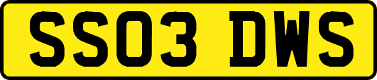 SS03DWS