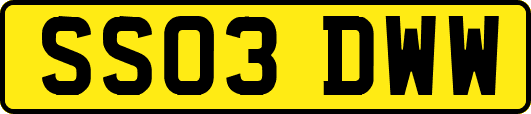 SS03DWW