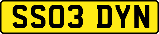 SS03DYN