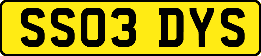 SS03DYS