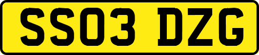 SS03DZG