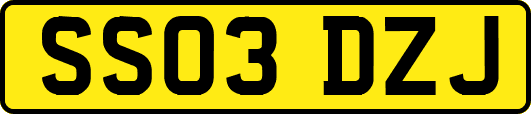 SS03DZJ