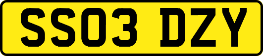 SS03DZY