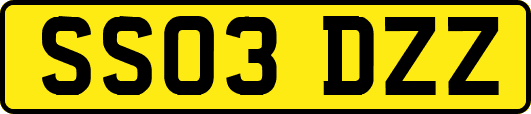 SS03DZZ